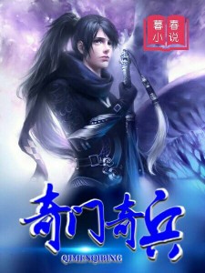 道门奇兵